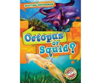 Octopus_or_squid_